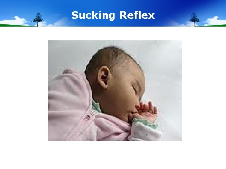 Sucking Reflex 