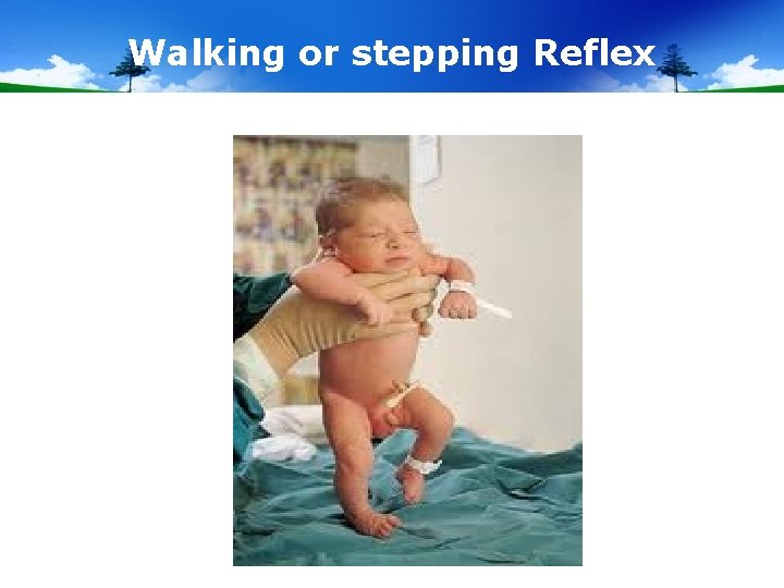 Walking or stepping Reflex 