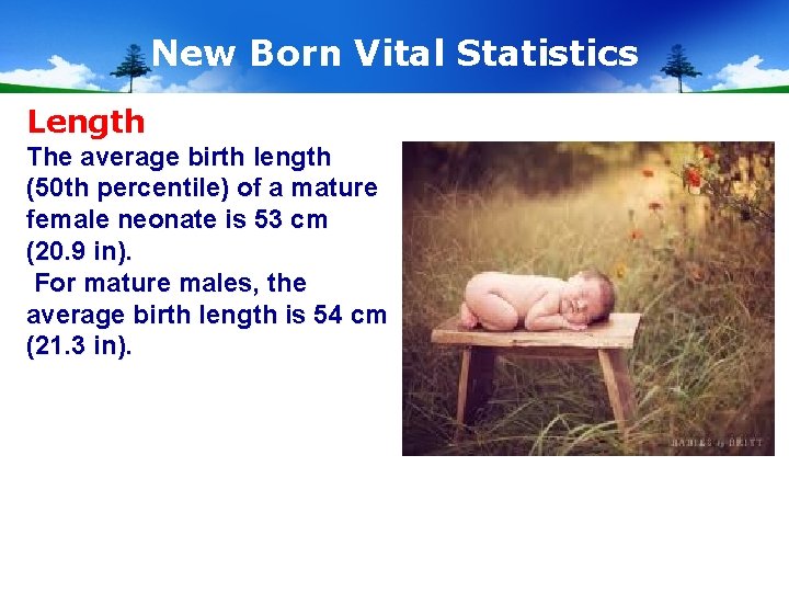 New Born Vital Statistics Length The average birth length (50 th percentile) of a