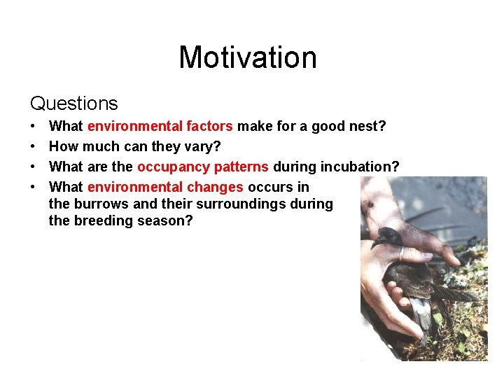 Motivation Questions • • What environmental factors make for a good nest? How much
