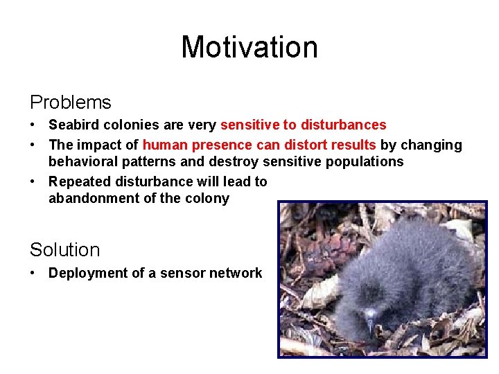 Motivation Problems • Seabird colonies are very sensitive to disturbances • The impact of