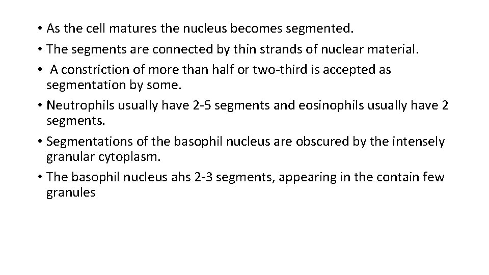  • As the cell matures the nucleus becomes segmented. • The segments are