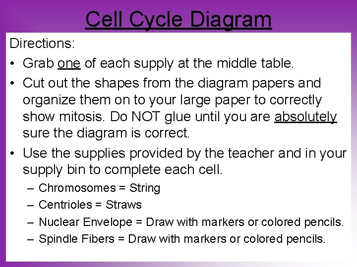 Cell Cycle Diagram Directions: • Grab one of each supply at the middle table.