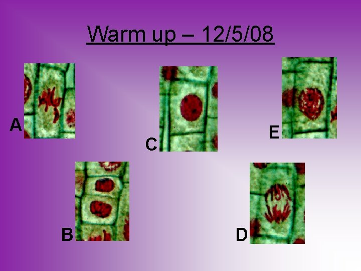 Warm up – 12/5/08 A E C B D 