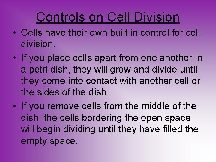 Controls on Cell Division • Cells have their own built in control for cell