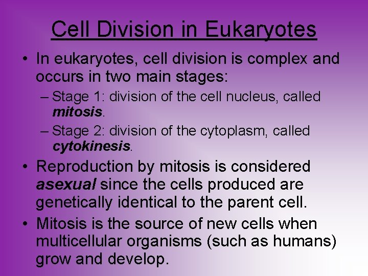 Cell Division in Eukaryotes • In eukaryotes, cell division is complex and occurs in