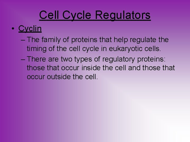 Cell Cycle Regulators • Cyclin – The family of proteins that help regulate the