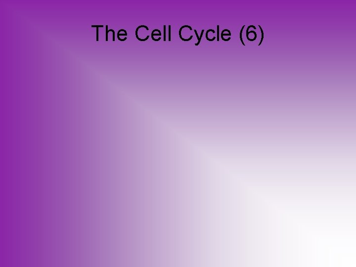 The Cell Cycle (6) 
