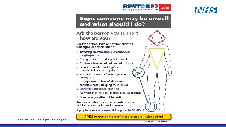 National Patient Safety Improvement Programmes 