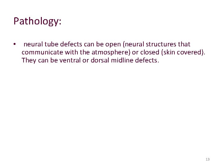 Pathology: • neural tube defects can be open (neural structures that communicate with the