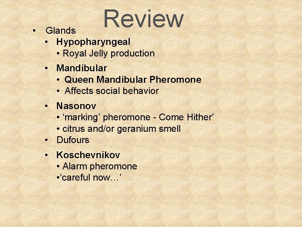  • Review Glands • Hypopharyngeal • Royal Jelly production • Mandibular • Queen