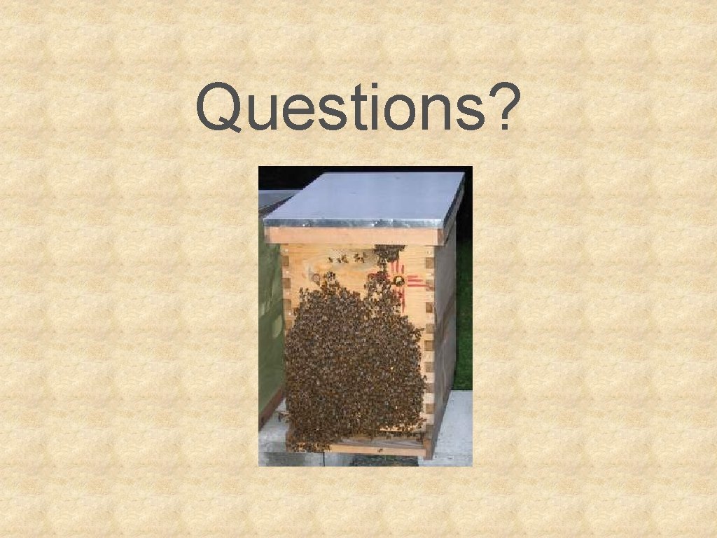 Questions? 