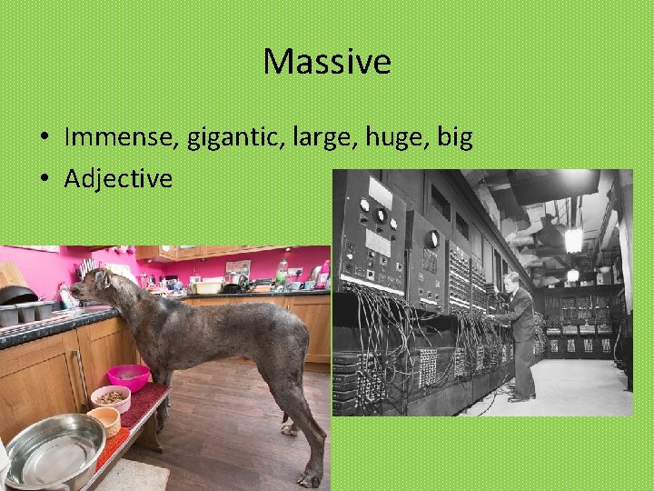 Massive • Immense, gigantic, large, huge, big • Adjective 