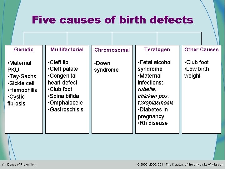 Five causes of birth defects Genetic Multifactorial • Maternal PKU • Tay-Sachs • Sickle