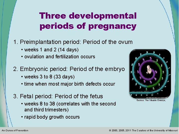 Three developmental periods of pregnancy 1. Preimplantation period: Period of the ovum • weeks