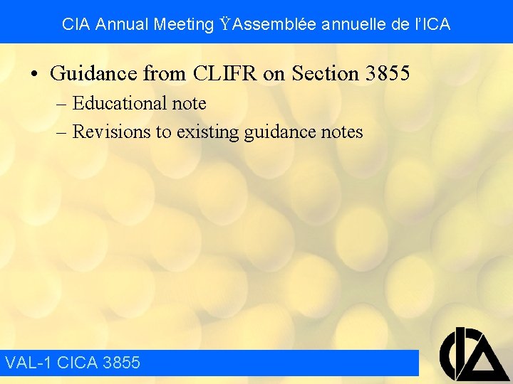 CIA Annual Meeting Ÿ Assemblée annuelle de l’ICA • Guidance from CLIFR on Section