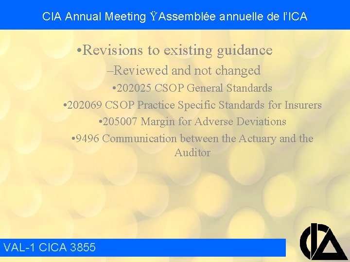 CIA Annual Meeting Ÿ Assemblée annuelle de l’ICA • Revisions to existing guidance –Reviewed