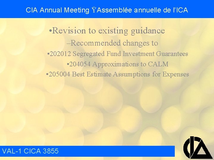 CIA Annual Meeting Ÿ Assemblée annuelle de l’ICA • Revision to existing guidance –Recommended