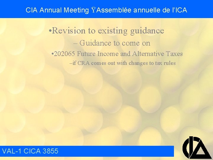 CIA Annual Meeting Ÿ Assemblée annuelle de l’ICA • Revision to existing guidance –