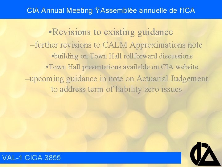 CIA Annual Meeting Ÿ Assemblée annuelle de l’ICA • Revisions to existing guidance –further