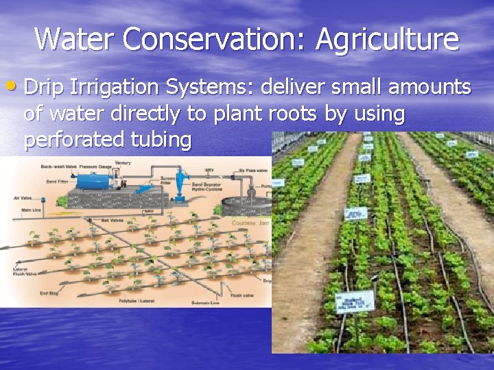 Water Conservation: Agriculture • Drip Irrigation Systems: deliver small amounts of water directly to