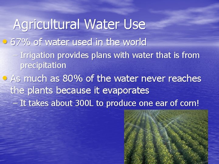 Agricultural Water Use • 67% of water used in the world – Irrigation provides