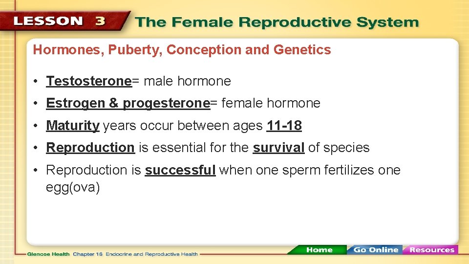 Hormones, Puberty, Conception and Genetics • Testosterone= male hormone • Estrogen & progesterone= female