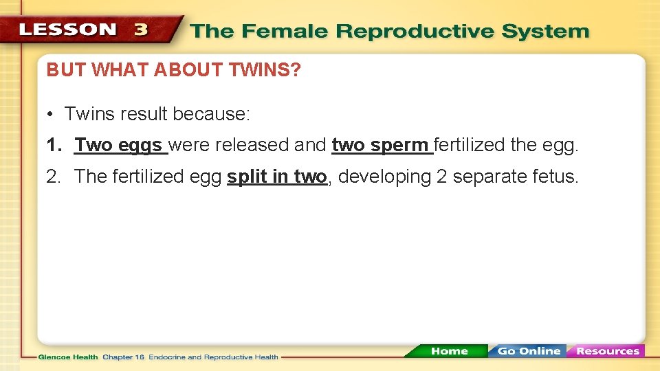 BUT WHAT ABOUT TWINS? • Twins result because: 1. Two eggs were released and