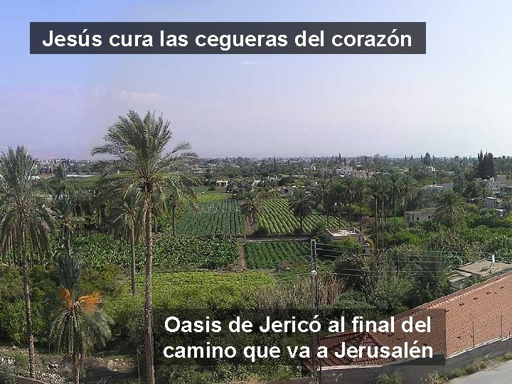 Jesús cura las cegueras del corazón Oasis de Jericó al final del camino que