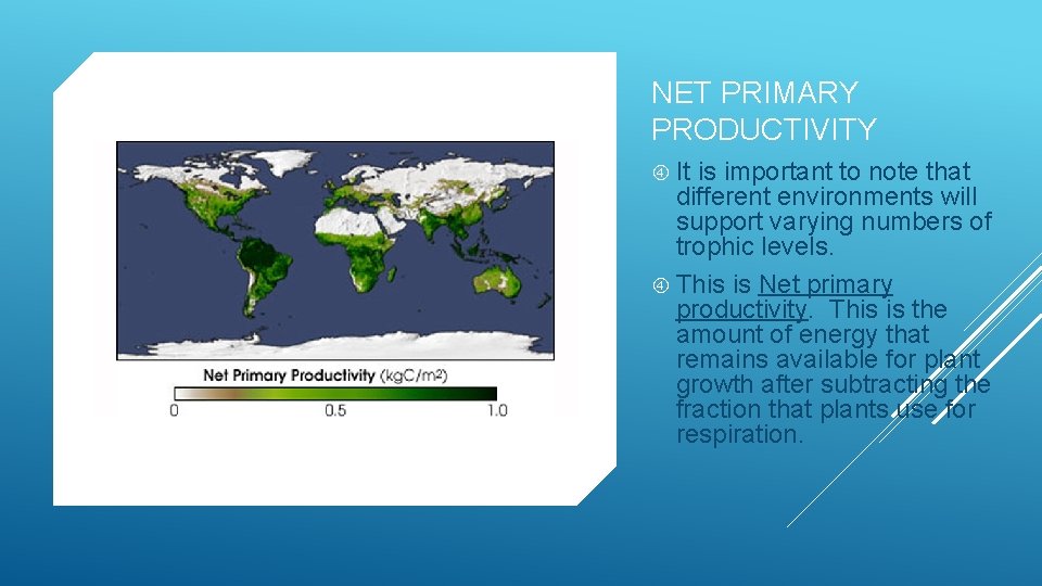 NET PRIMARY PRODUCTIVITY It is important to note that different environments will support varying