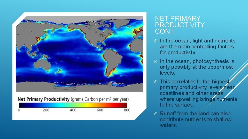 NET PRIMARY PRODUCTIVITY CONT. In the ocean, light and nutrients are the main controlling