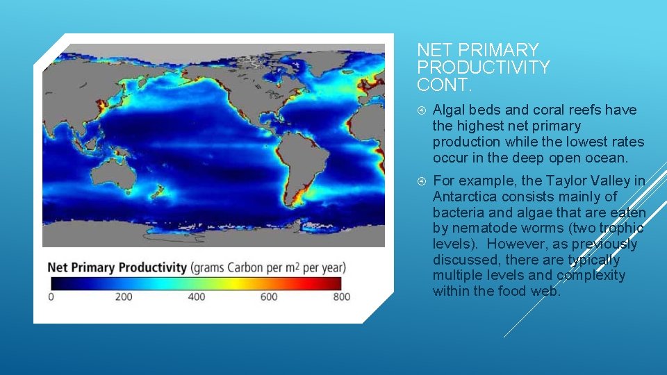 NET PRIMARY PRODUCTIVITY CONT. Algal beds and coral reefs have the highest net primary