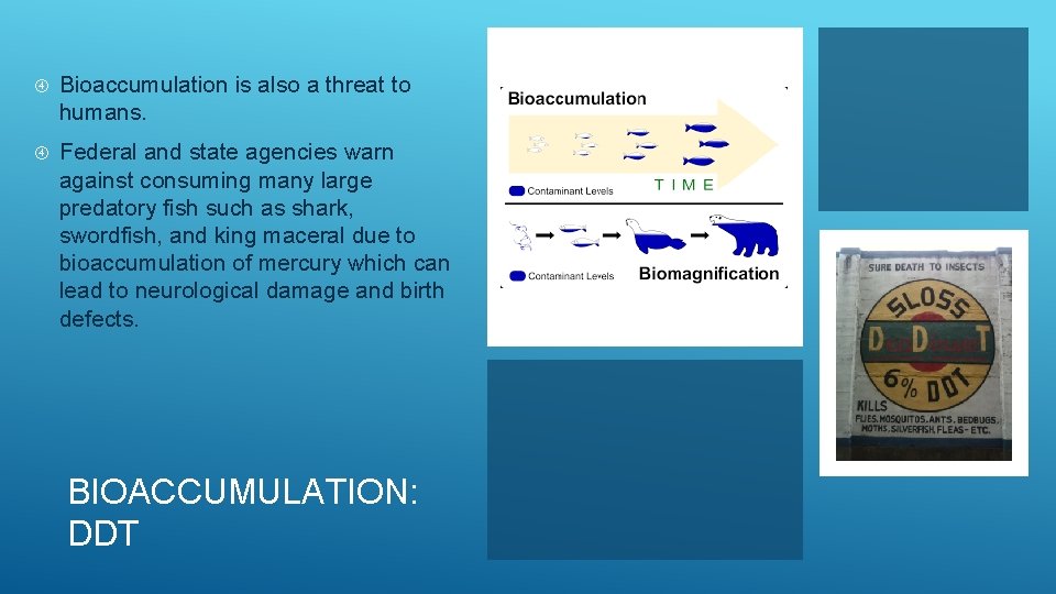  Bioaccumulation is also a threat to humans. Federal and state agencies warn against