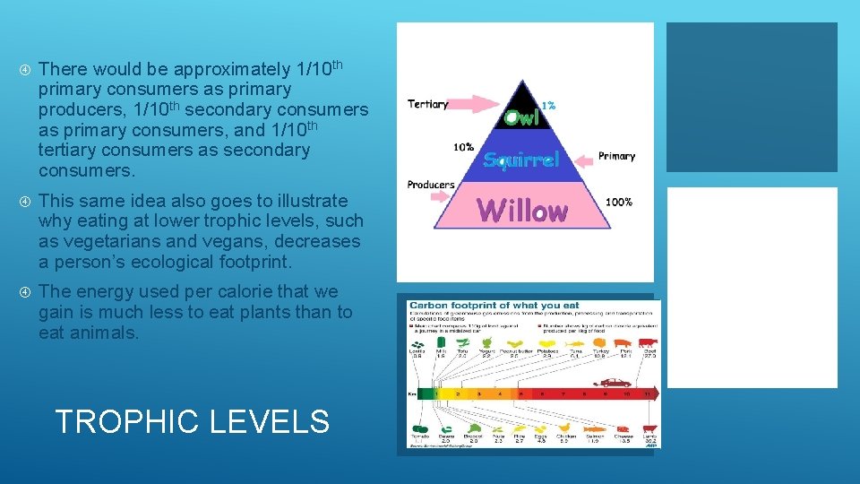  There would be approximately 1/10 th primary consumers as primary producers, 1/10 th