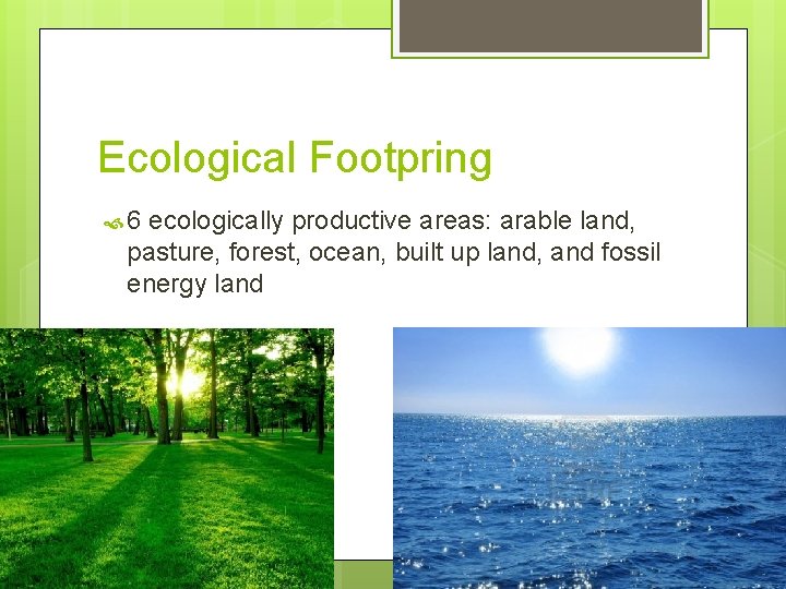 Ecological Footpring 6 ecologically productive areas: arable land, pasture, forest, ocean, built up land,