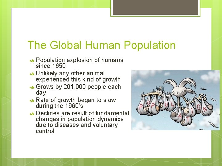 The Global Human Population explosion of humans since 1650 Unlikely any other animal experienced