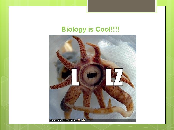 Biology is Cool!!!! 