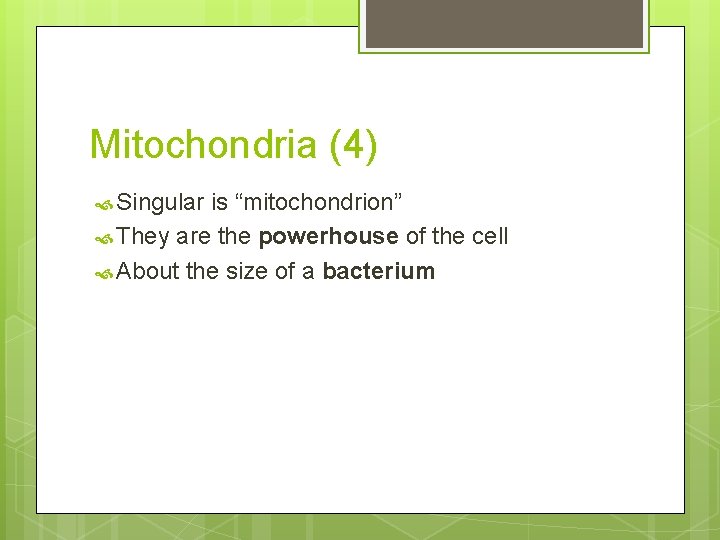 Mitochondria (4) Singular is “mitochondrion” They are the powerhouse of the cell About the