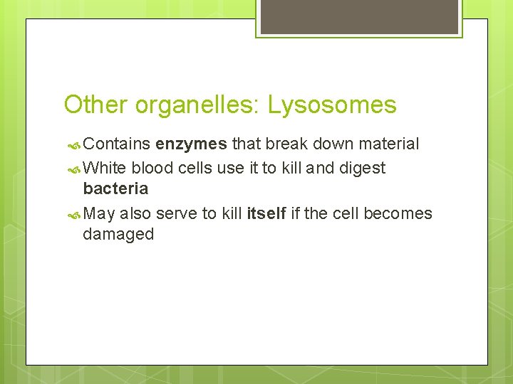 Other organelles: Lysosomes Contains enzymes that break down material White blood cells use it