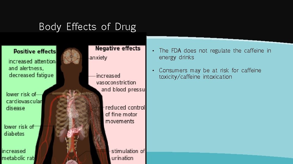 Body Effects of Drug • The FDA does not regulate the caffeine in energy