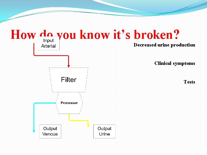 How do you know it’s broken? Decreased urine production Clinical symptoms Tests 
