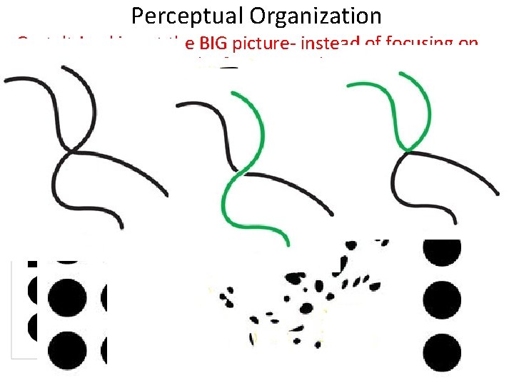 Perceptual Organization Gestalt-Looking at the BIG picture- instead of focusing on the smaller parts