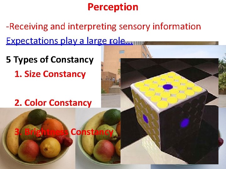 Perception -Receiving and interpreting sensory information Expectations play a large role. . . 5