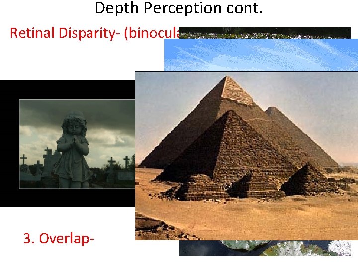 Depth Perception cont. Retinal Disparity- (binocular) 3 Monocular Ways 1. Texture Gradient 2. Size-