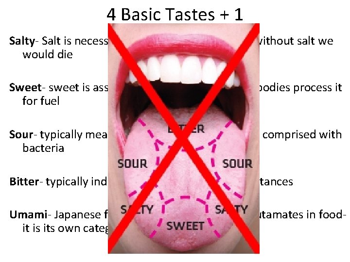 4 Basic Tastes + 1 Salty- Salt is necessary for enzymatic processes without salt
