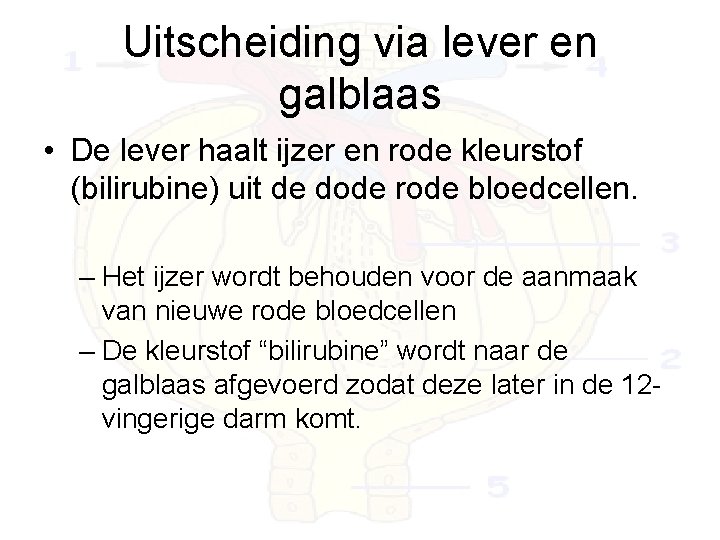 Uitscheiding via lever en galblaas • De lever haalt ijzer en rode kleurstof (bilirubine)