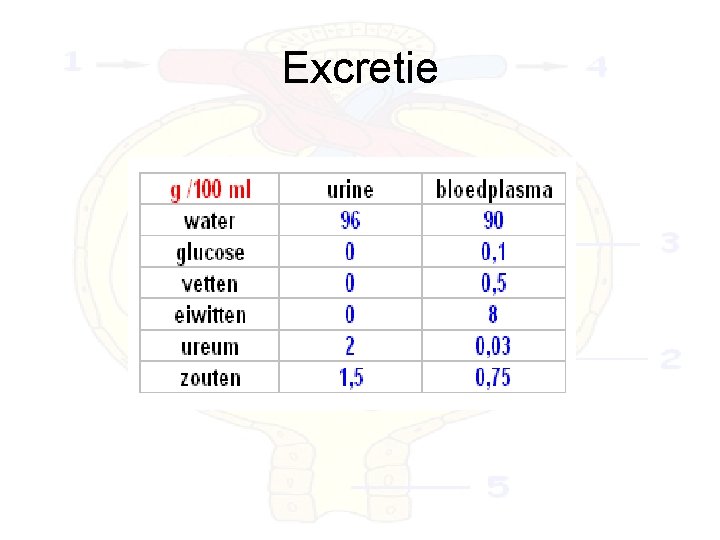 Excretie 