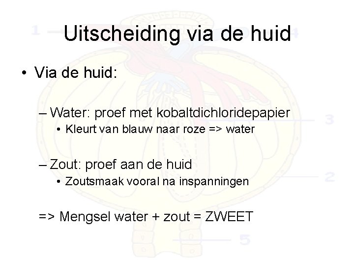 Uitscheiding via de huid • Via de huid: – Water: proef met kobaltdichloridepapier •