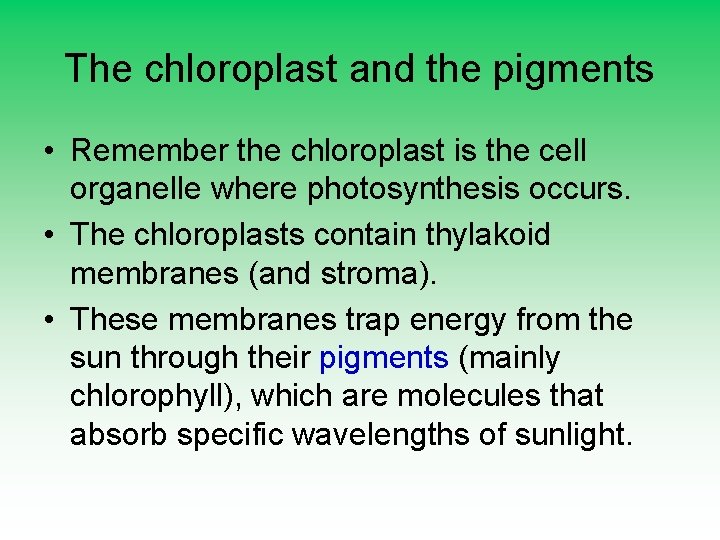 The chloroplast and the pigments • Remember the chloroplast is the cell organelle where