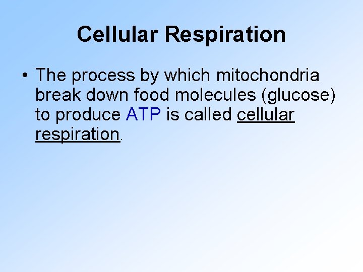 Cellular Respiration • The process by which mitochondria break down food molecules (glucose) to